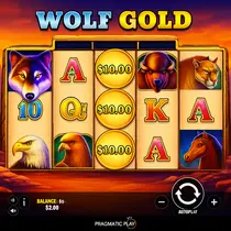 Superbet - Wolf Gold Slot - Pragmatic Play